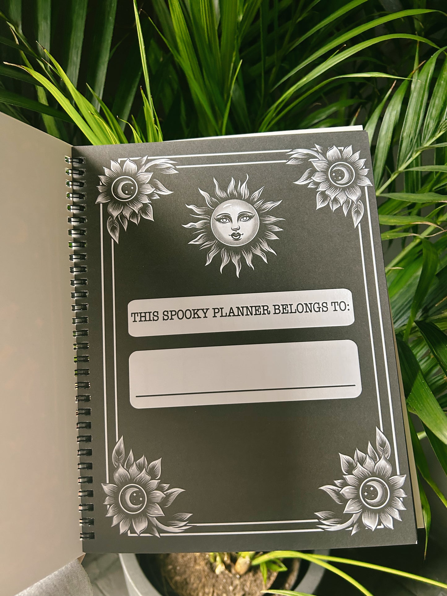 Not Your Average Babe Planner celestial