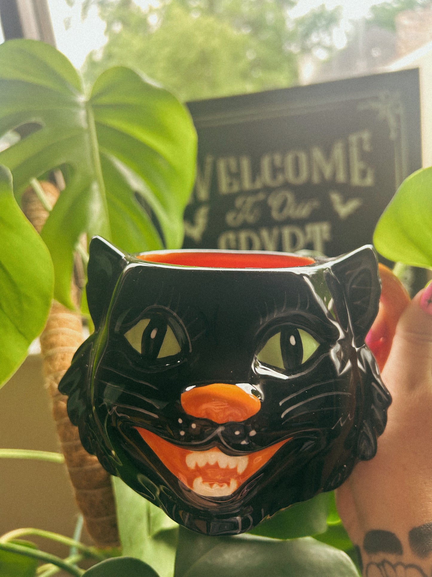 Scaredy Cat mug