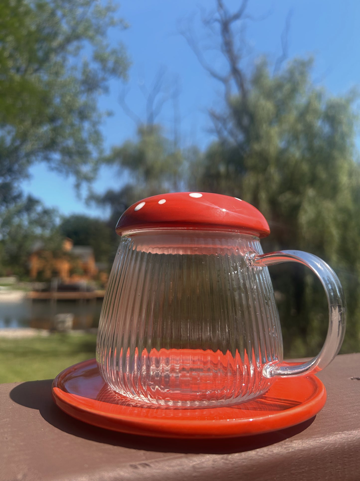 3 piece mushroom mug